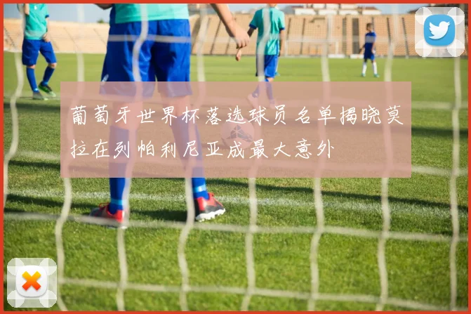 葡萄牙世界杯落选球员名单揭晓莫拉在列帕利尼亚成最大意外