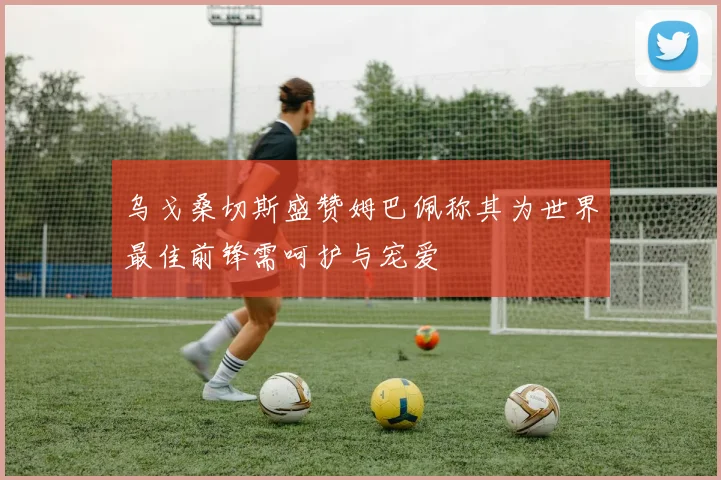 乌戈桑切斯盛赞姆巴佩称其为世界最佳前锋需呵护与宠爱